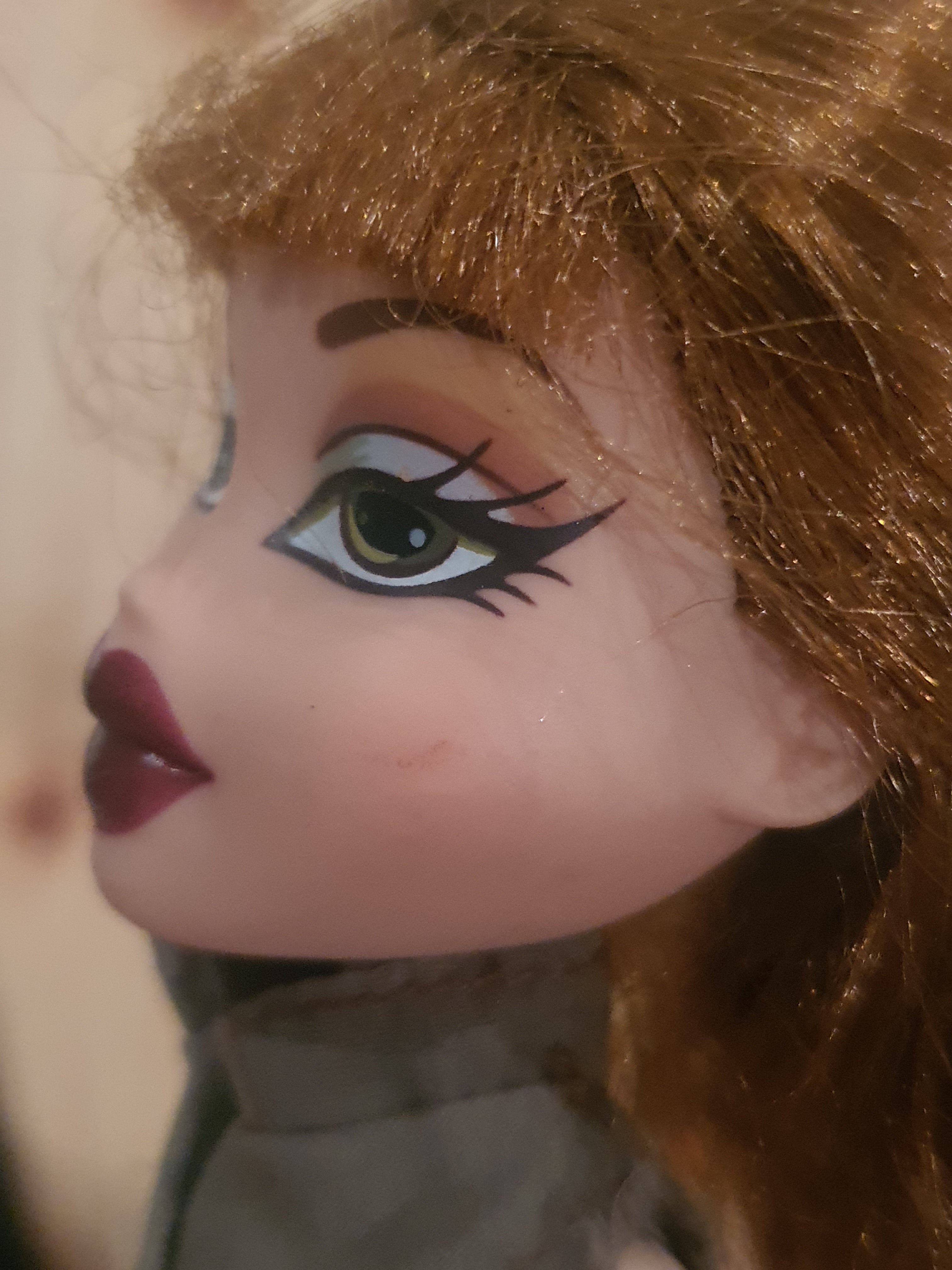 Bratz meygan xpress it