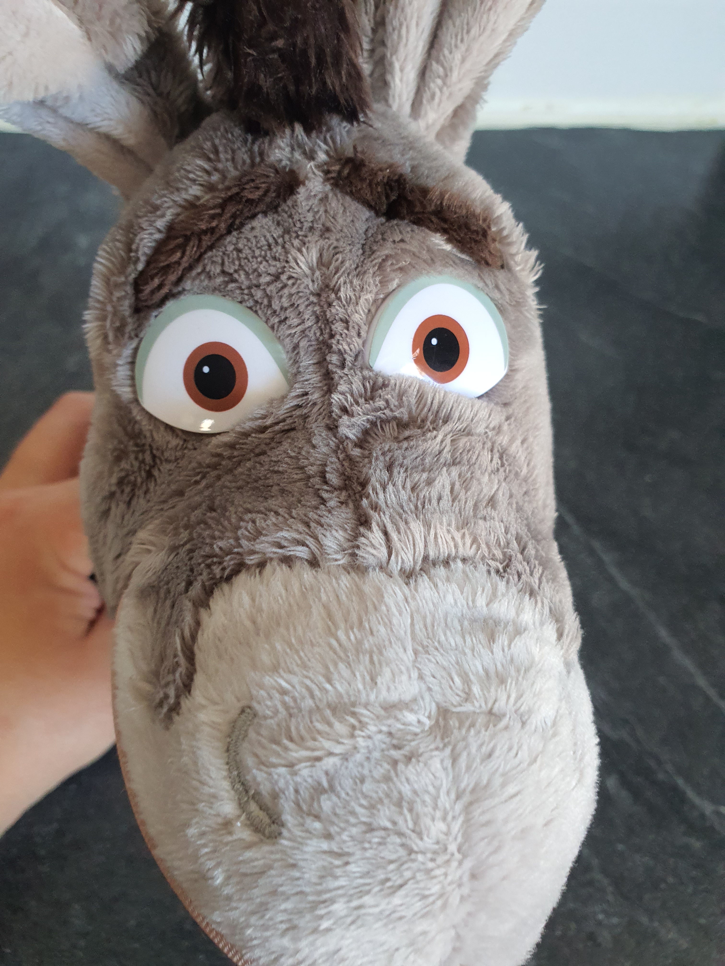 Peluche L anê dans shrek