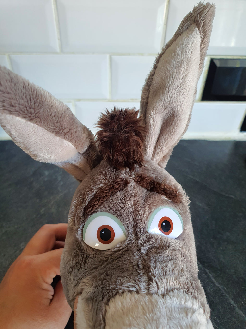 Peluche L anê dans shrek