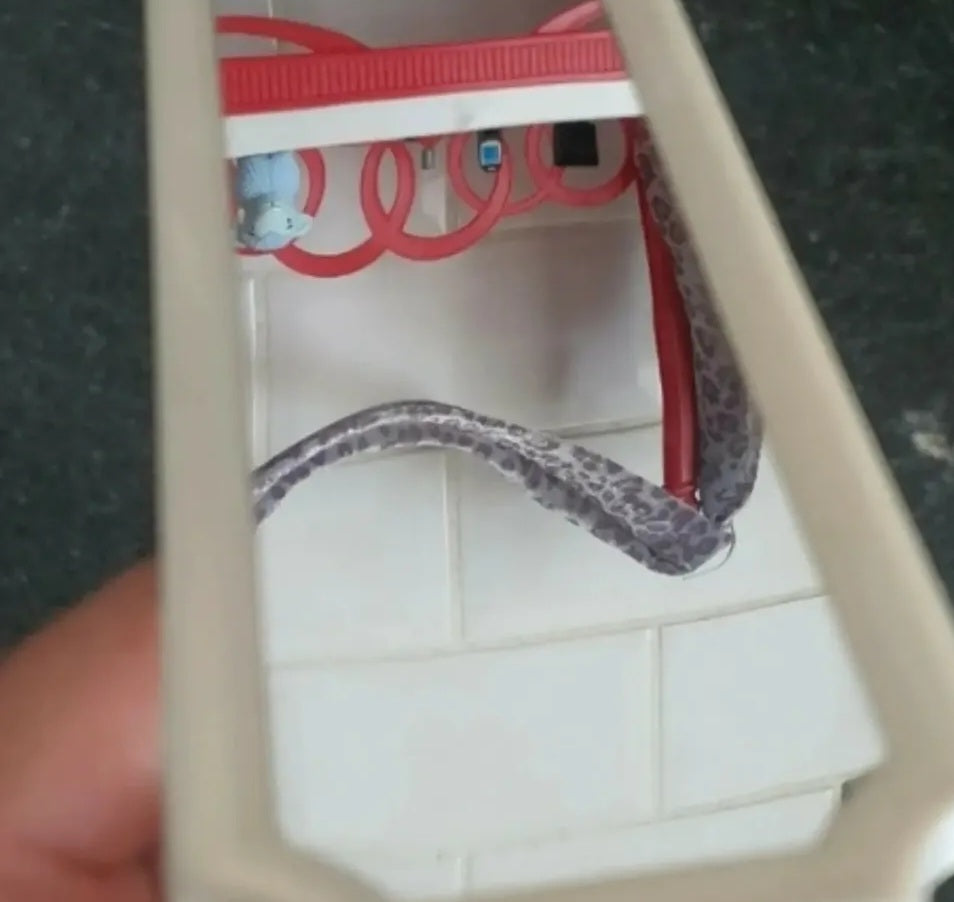 Bratz cloe chambre